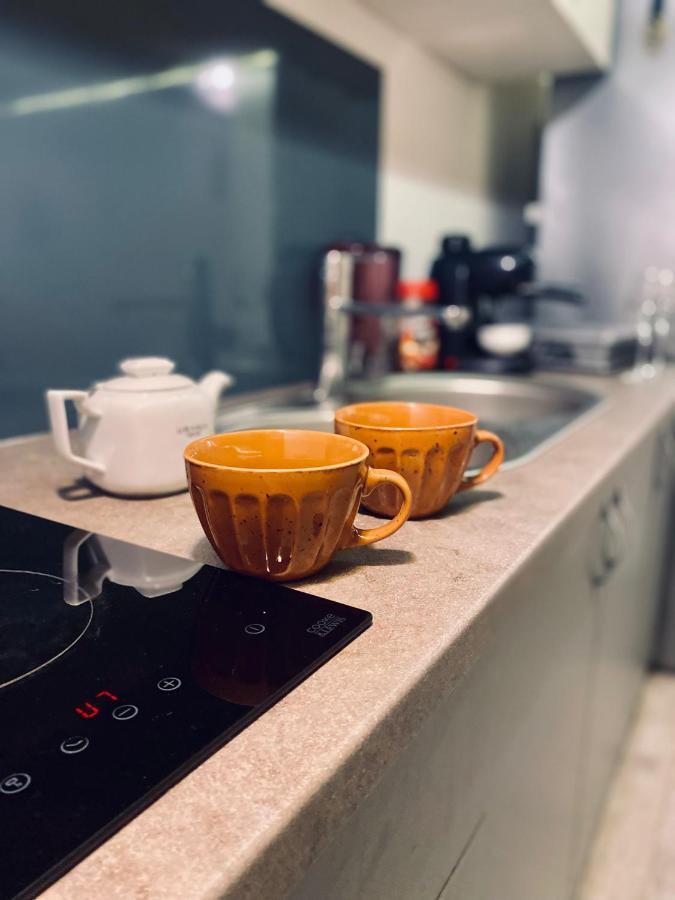 Apartament Central Cluj Loft Zewnętrze zdjęcie