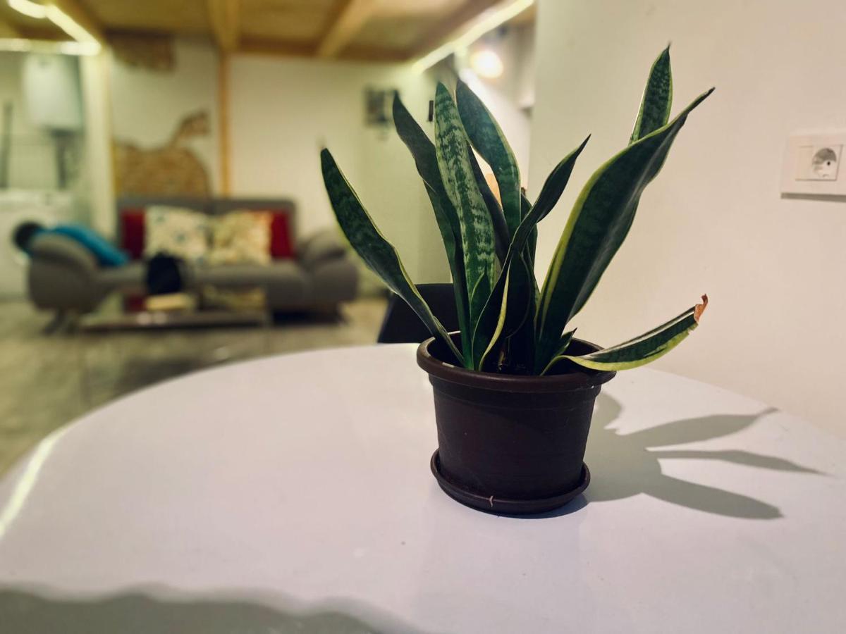 Apartament Central Cluj Loft Zewnętrze zdjęcie